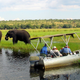 Foreign tourists observe elephants along the Chobe river bank near Botswana's northern border where Zimbabwe, Zambia and Namibia meet.